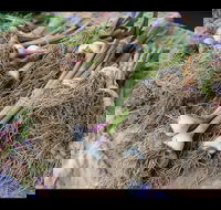 Queanbeyan Park Market - Accommodation Port Hedland