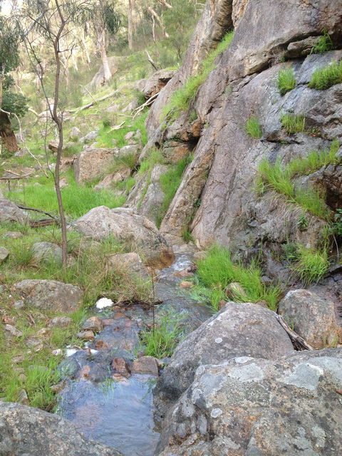 Salisbury Falls Walk - Accommodation Port Hedland 2