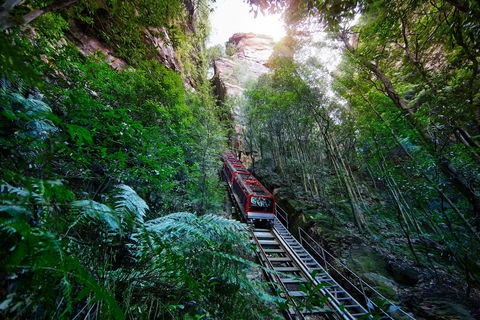 Scenic World Blue Mountains - Accommodation Port Hedland 0