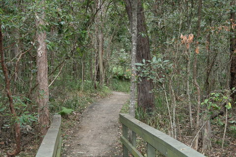 Springwood Conservation Park - Accommodation Port Hedland 0