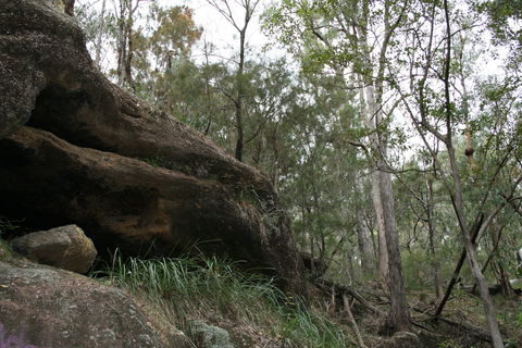 Springwood Conservation Park - Accommodation Port Hedland 2