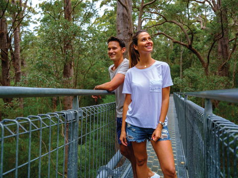Valley Of The Giants Tree Top Walk - Accommodation Port Hedland 0