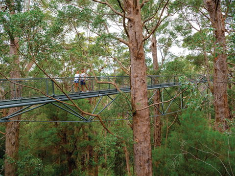 Valley Of The Giants Tree Top Walk - Accommodation Port Hedland 1