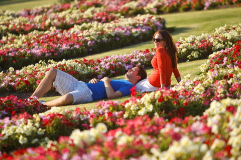 Victoria State Rose Garden At Werribee Park - Accommodation Port Hedland 1