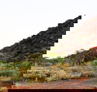 Whyalla Conservation Park - Accommodation Port Hedland