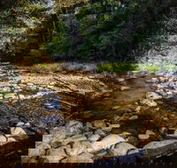 Wilson River picnic area - Accommodation Port Hedland