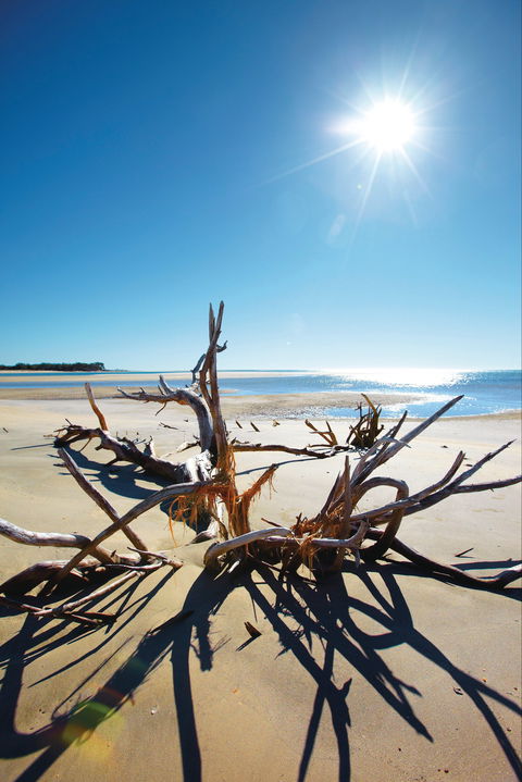 Woodgate Beach Park And Playground - Accommodation Port Hedland 1