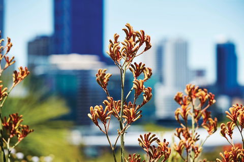 A Day In Perth - Accommodation Port Hedland 1