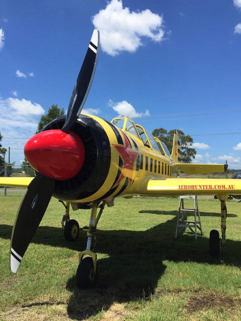 Aerohunter - Accommodation Port Hedland 0