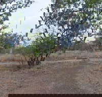 Alexander Forest Memorial - Accommodation Port Hedland