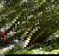 Alfred National Park - Accommodation Port Hedland