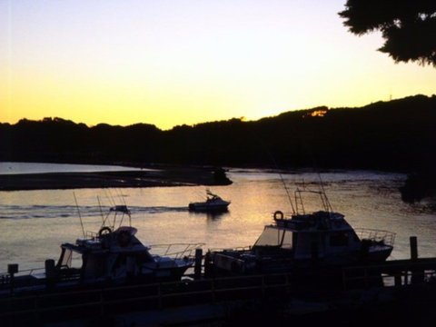 Apex Park Picnic Area Narooma - Accommodation Port Hedland 2