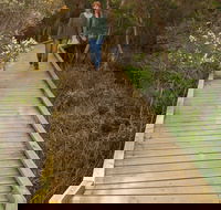 Balcombe Creek Estuary Boardwalk - Accommodation Port Hedland