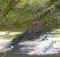 Berry Springs - Accommodation Port Hedland