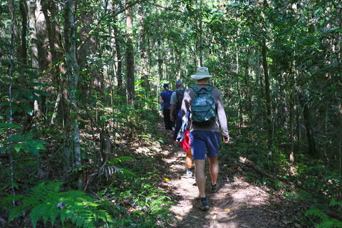 Booloumba Falls Walk, Conondale National Park - Accommodation Port Hedland 1