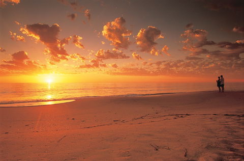 Coastal Art Trail - Accommodation Port Hedland 0