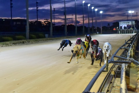 Cranbourne Greyhound Racing Club - Accommodation Port Hedland 1