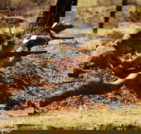 Freycinet Paintball and Campground - Accommodation Port Hedland