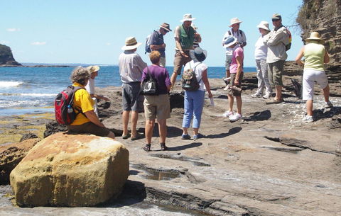 Gondwana Coast Fossil Walk - Accommodation Port Hedland 0