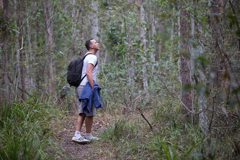 Ironbark Ridge And Spotted Gum Walking Trails - Accommodation Port Hedland 2