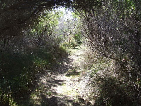 Jack And Hilda McArthur Walk - Accommodation Port Hedland 0