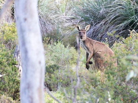 Kaiserstuhl Conservation Park - Accommodation Port Hedland 0