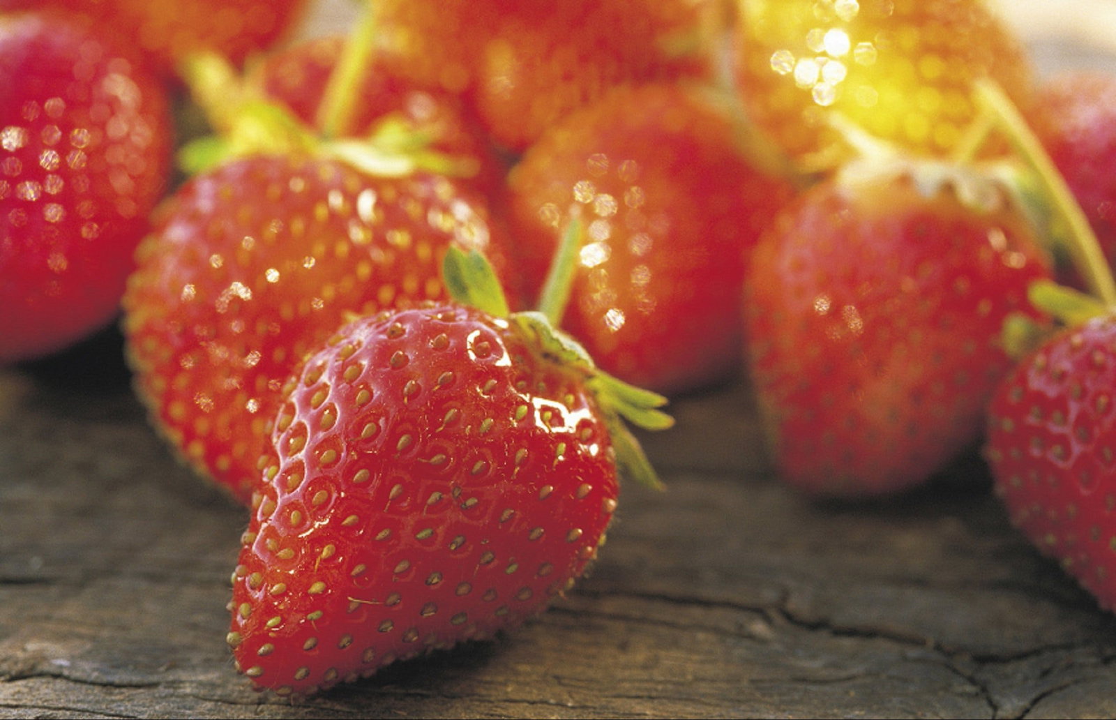 Lambs Valley NSW Accommodation Port Hedland