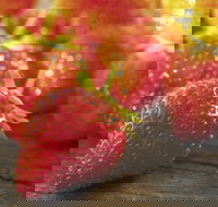 Lambs Valley - Accommodation Port Hedland