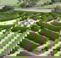 Mintaro Maze - Accommodation Port Hedland