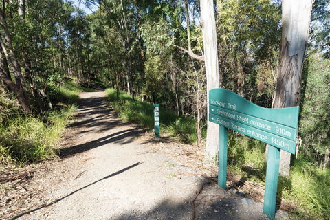Mt Coot-tha Tourist Drive - Accommodation Port Hedland 0