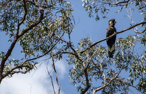 Mummel Gulf National Park - Accommodation Port Hedland 0