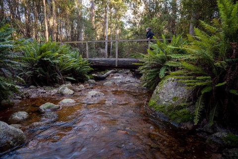 O'Neills Creek Picnic Reserve - Accommodation Port Hedland 0