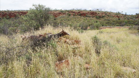 Original Glen Helen Homestead - Accommodation Port Hedland 1