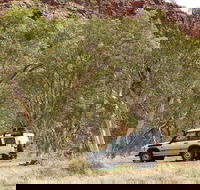 Owen Springs Reserve - Accommodation Port Hedland