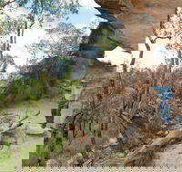 Pilliga National Park - Accommodation Port Hedland