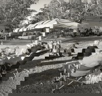 Pioneer Park - Accommodation Port Hedland