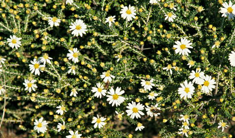 Round Tank Picnic Area - Accommodation Port Hedland 0
