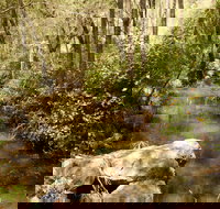 Sandy Creek Track - Accommodation Port Hedland