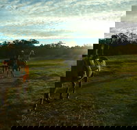 Scenic NSW Horse Riding Centre - Accommodation Port Hedland
