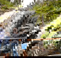 Steavenson Falls - Accommodation Port Hedland