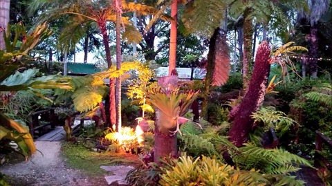 The Fernery At Diamond Waters - Accommodation Port Hedland 0