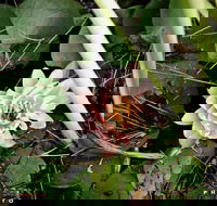 The Beach Bible Garden - Accommodation Port Hedland