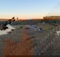 The Llama Farm - Accommodation Port Hedland