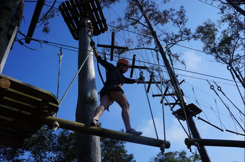Trees Adventure Nowra Park - Accommodation Port Hedland 0
