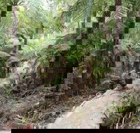 Upper Yarra Reservoir Park - Accommodation Port Hedland