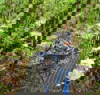 Yarra Ranges National Park - Accommodation Port Hedland