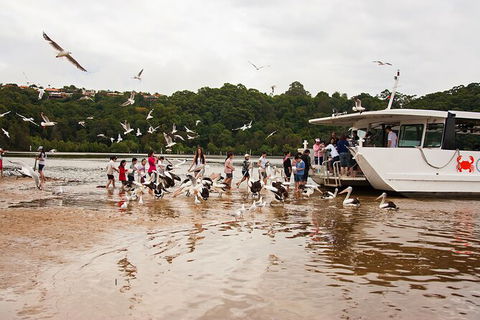 Catch A Crab Tour With Optional Seafood Lunch - Accommodation Port Hedland 1