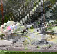 Maroochy Regional Bushland Botanic Garden - Accommodation Port Hedland