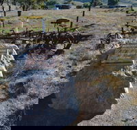Wangaraleednie Monument  Ruins - Accommodation Port Hedland