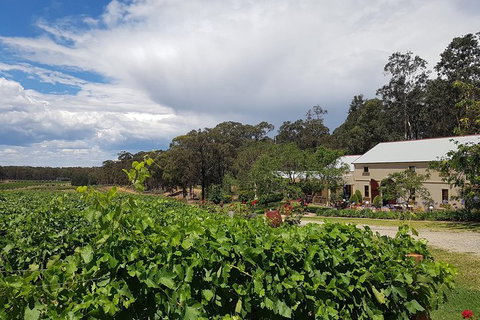 Tintilla Estate: Wine Tasting With A Meat And Cheese Platter - Accommodation Port Hedland 5